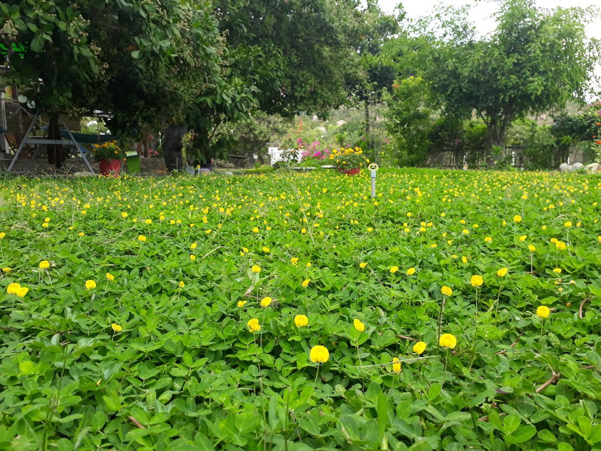 Dao Hoa Vang Villa Cam Ranh Exterior photo