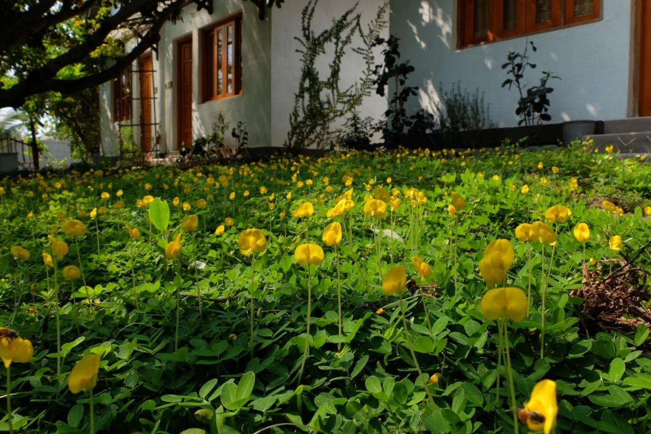 Dao Hoa Vang Villa Cam Ranh Exterior photo