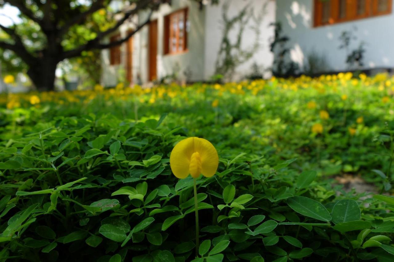 Dao Hoa Vang Villa Cam Ranh Exterior photo