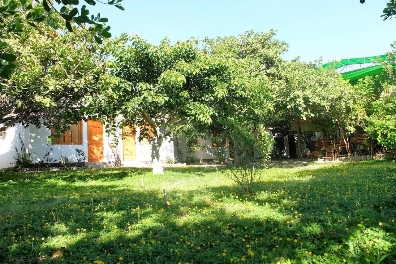 Dao Hoa Vang Villa Cam Ranh Exterior photo